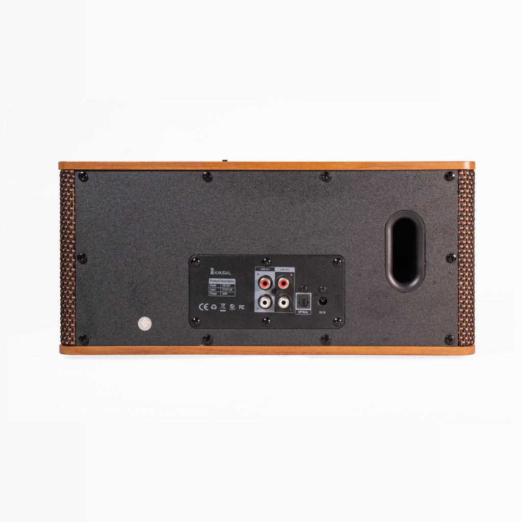 DS-501 Speaker