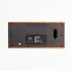 DS-501 Speaker