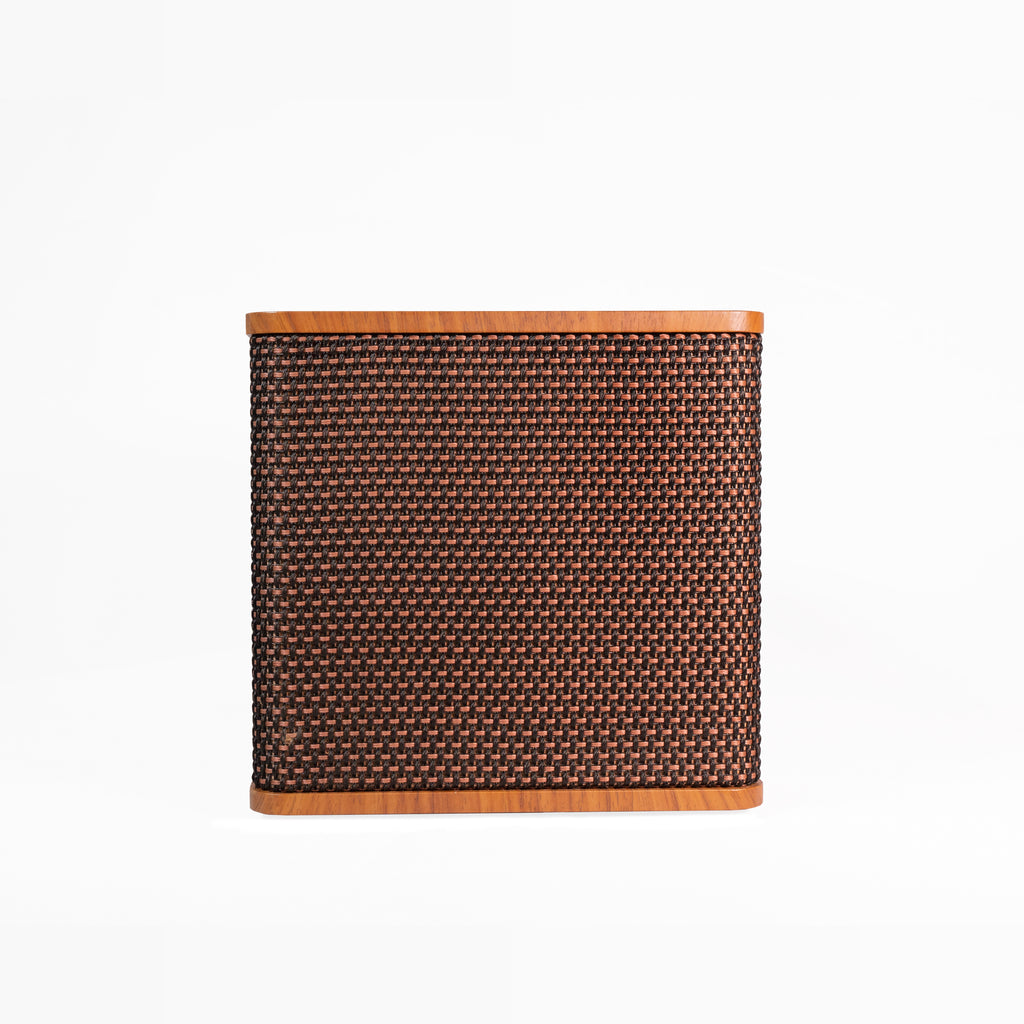 DS-501 Speaker