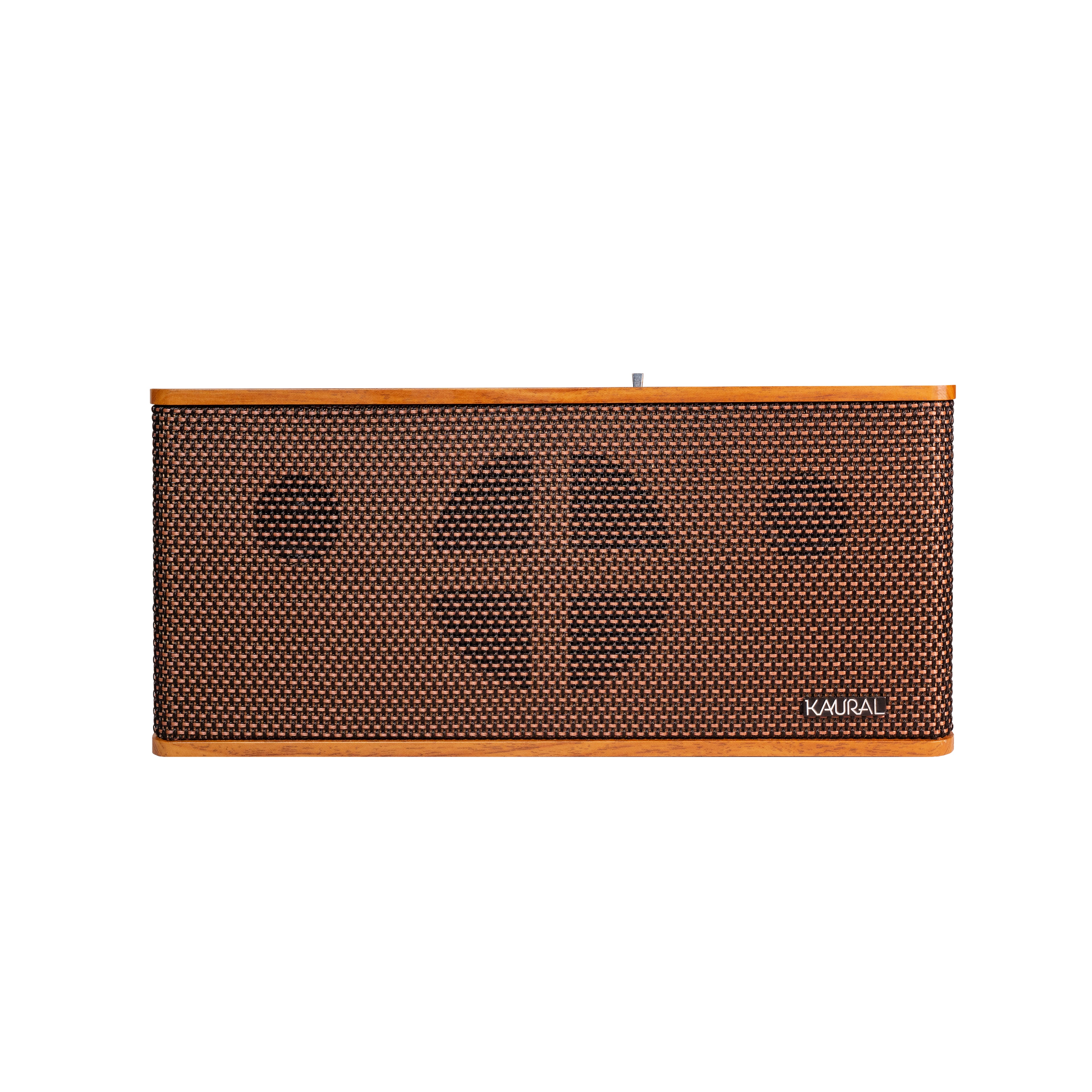 DS-501 Speaker