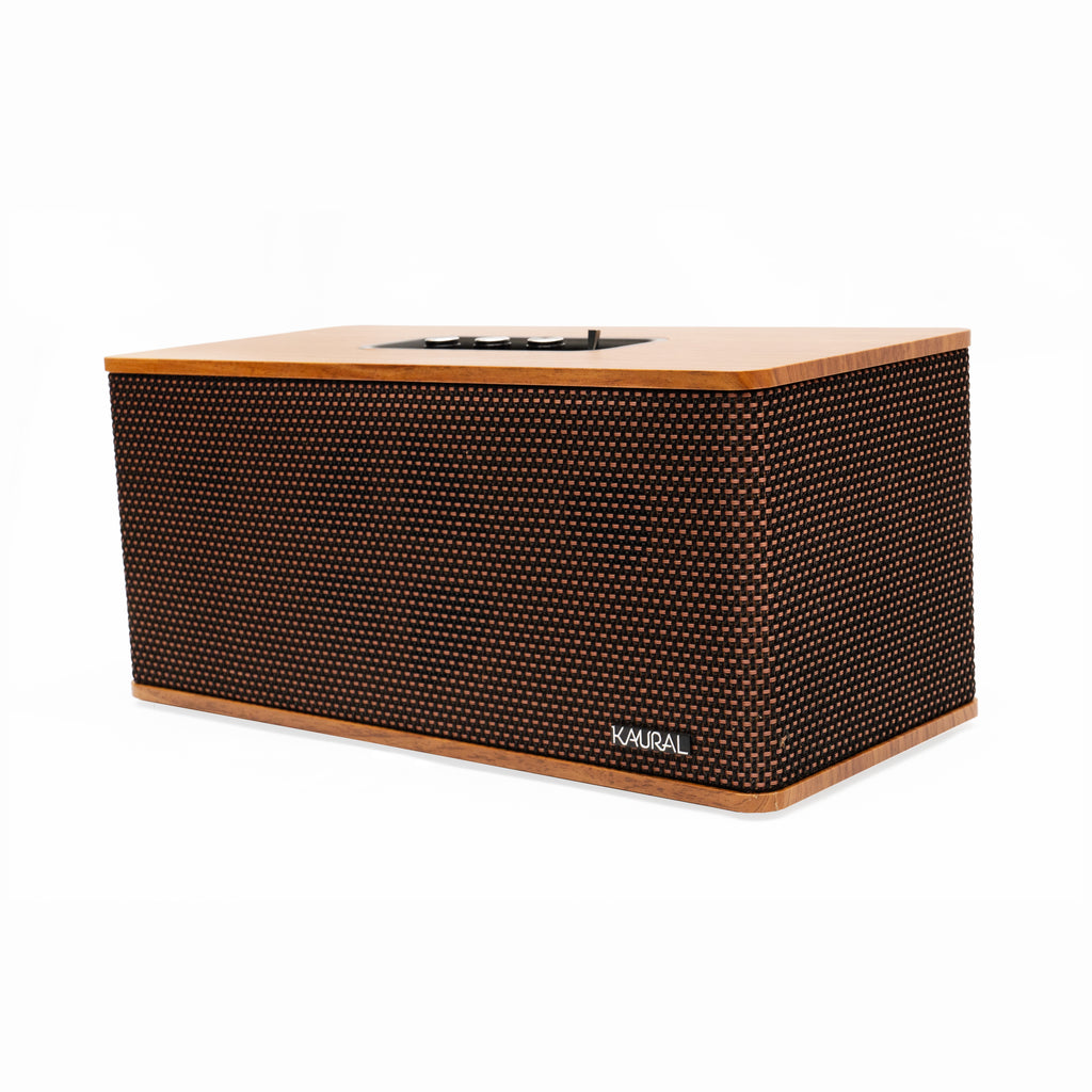 DS-501 Speaker