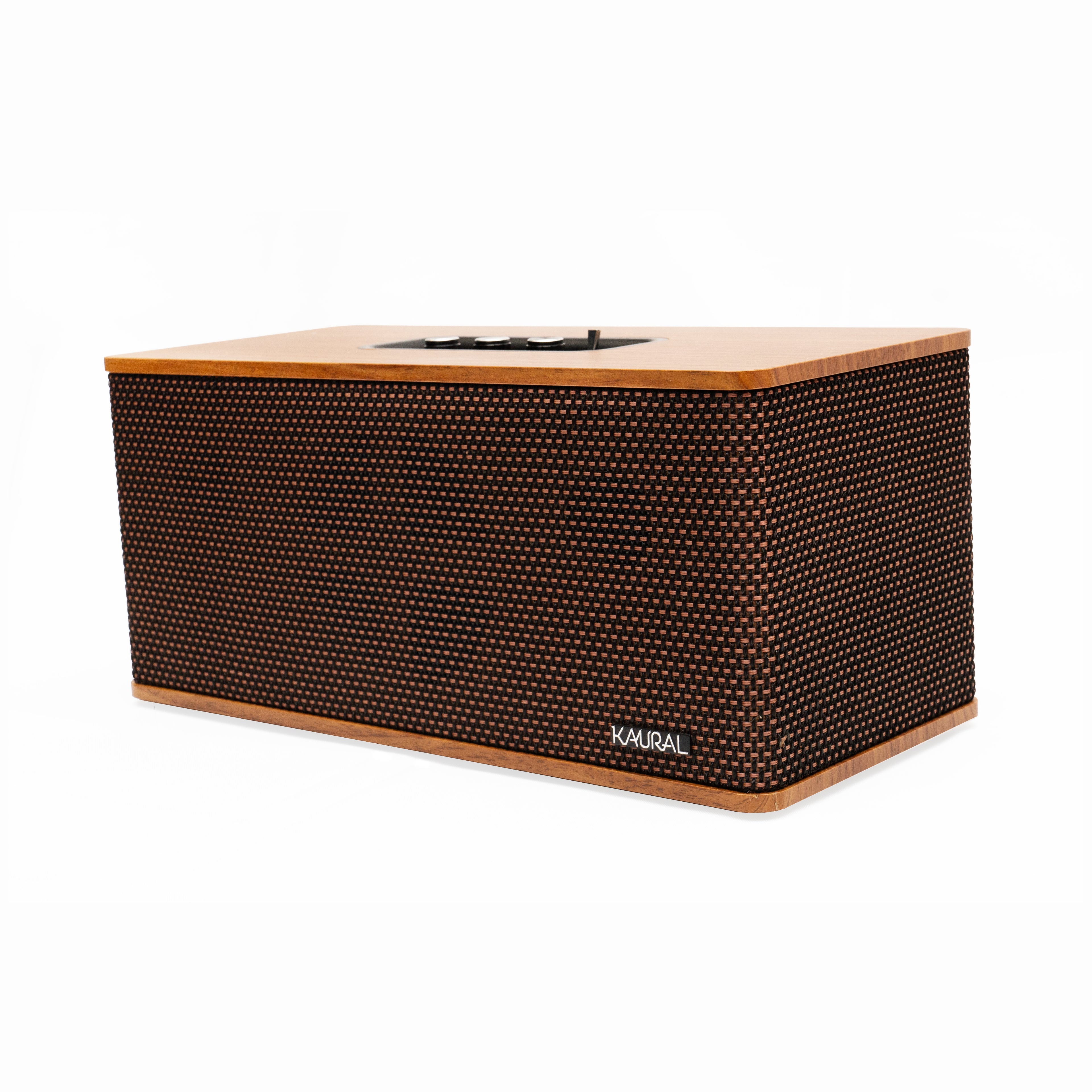 DS-501 Speaker