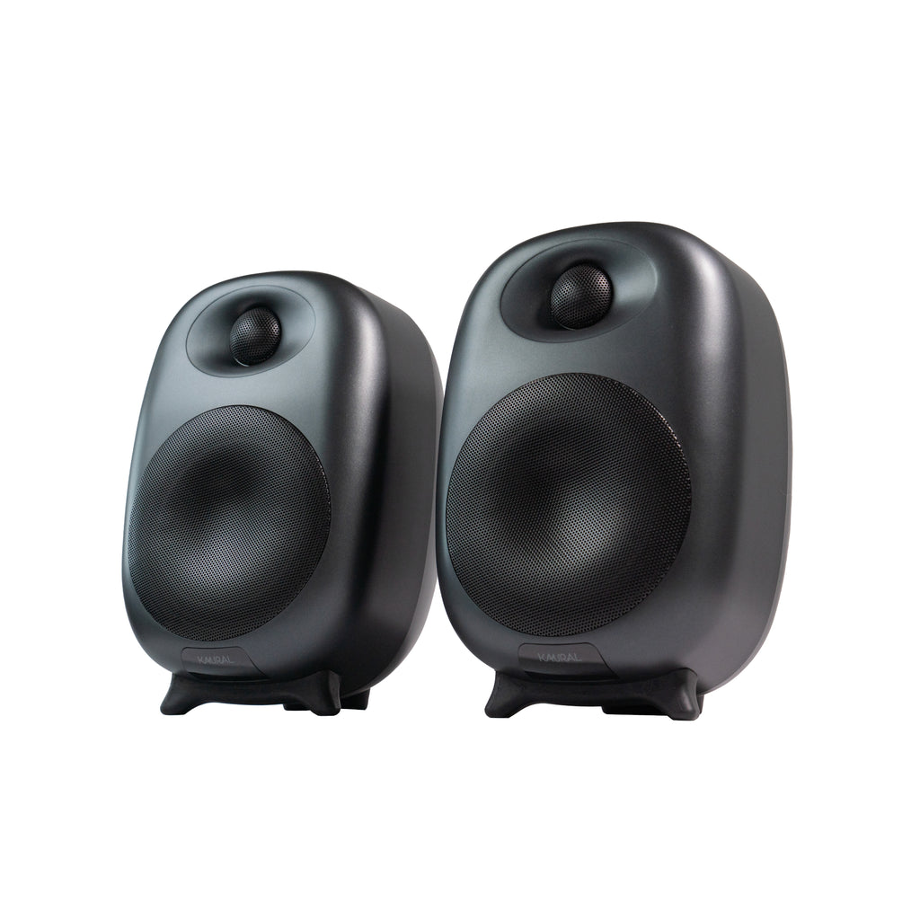 MS-420 2.0 Speaker